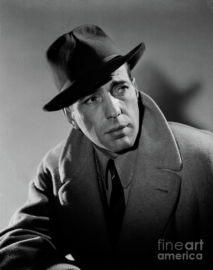 Bogart - Study I Photograph by Doc Braham