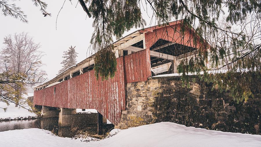 Bogert Covered Bridge Winter Under the Pines - Natural Tones Photograph by Jason Fink