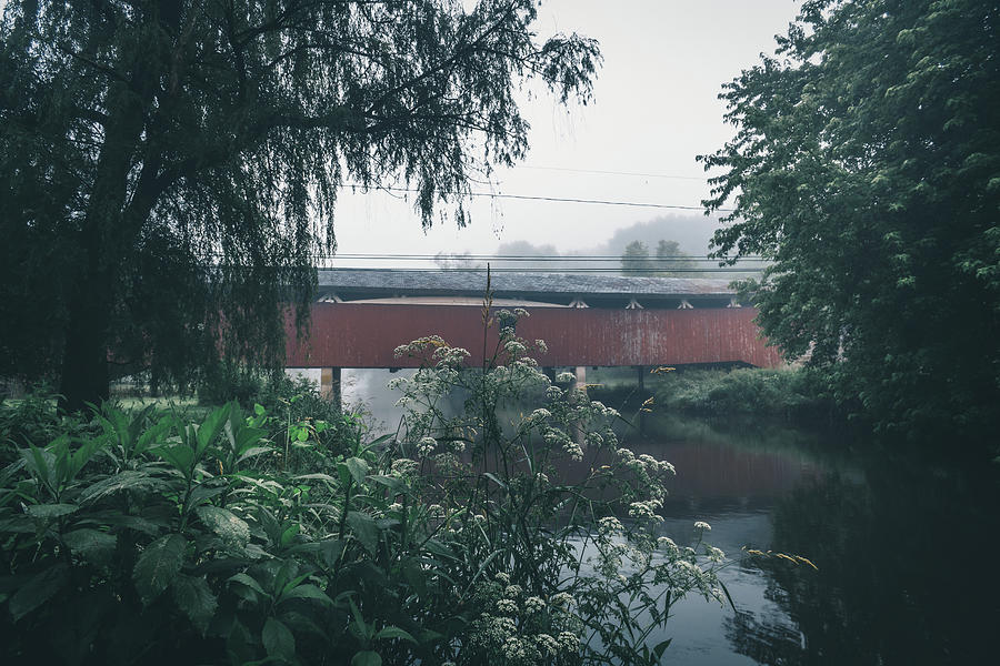 Bogerts Covered Bridge June Morning Photograph by Jason Fink