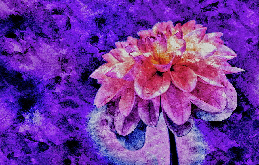 Bohemian Bloom Pastel by Susan Maxwell Schmidt