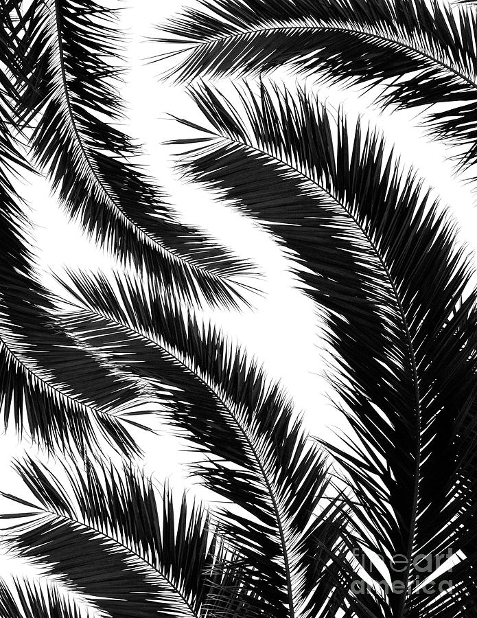 Bohemian Palms Jungle Pattern #1 #tropical #decor #art Mixed Media by ...