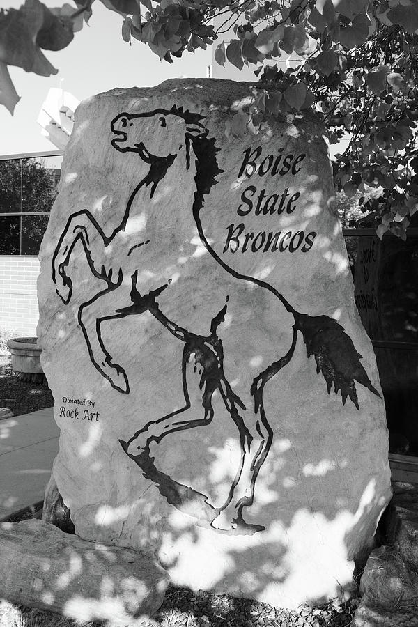 Boise State University Broncos stone statue in black and white Photograph by Eldon McGraw