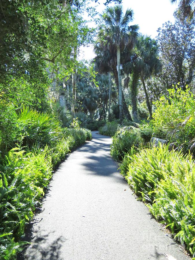 Bok Tower Pathway Photograph by World Reflections By Sharon