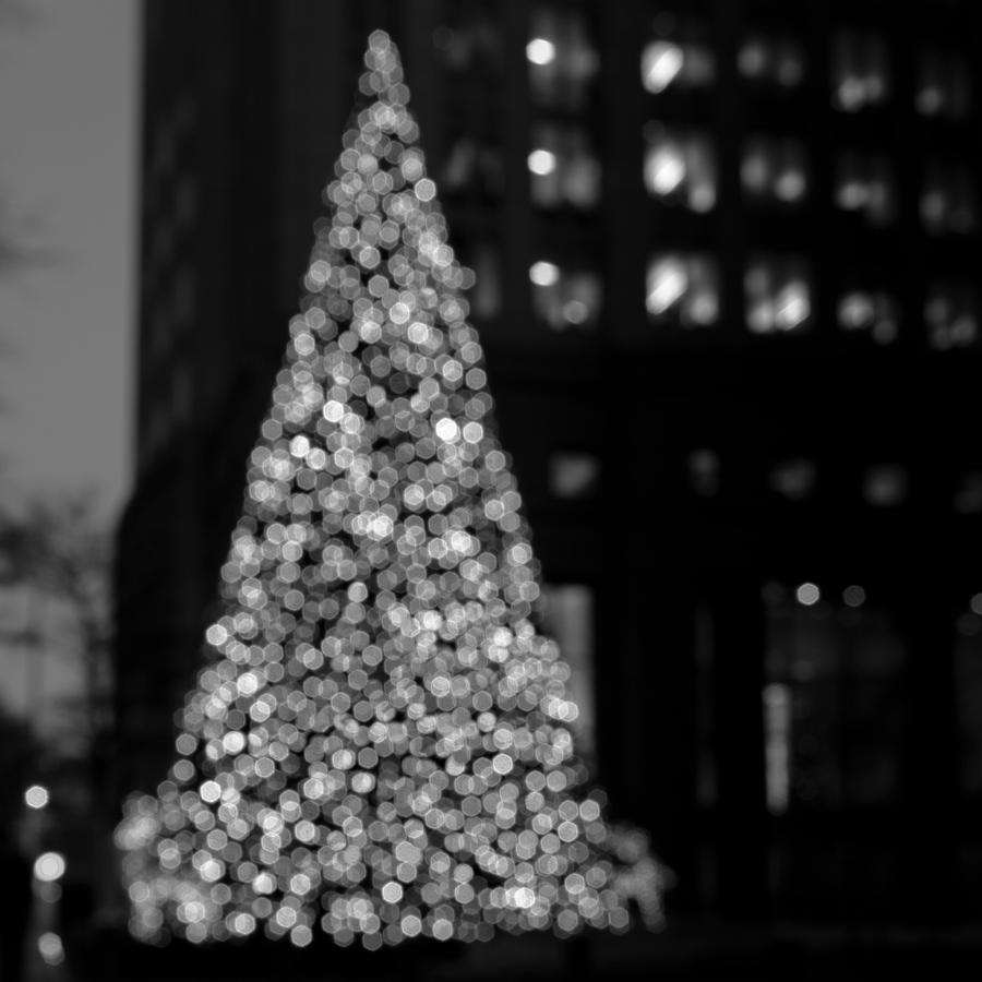 Bokeh Christmas Tree Photograph