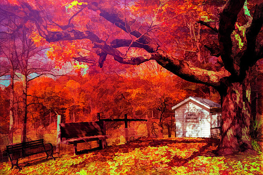 Fall Photograph - Bold Autumn by Jim Love