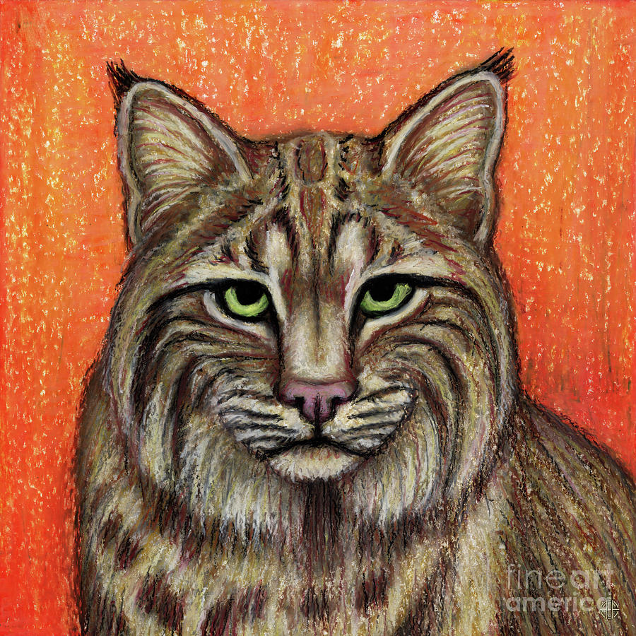 Bold Bobcat Painting by Amy E Fraser