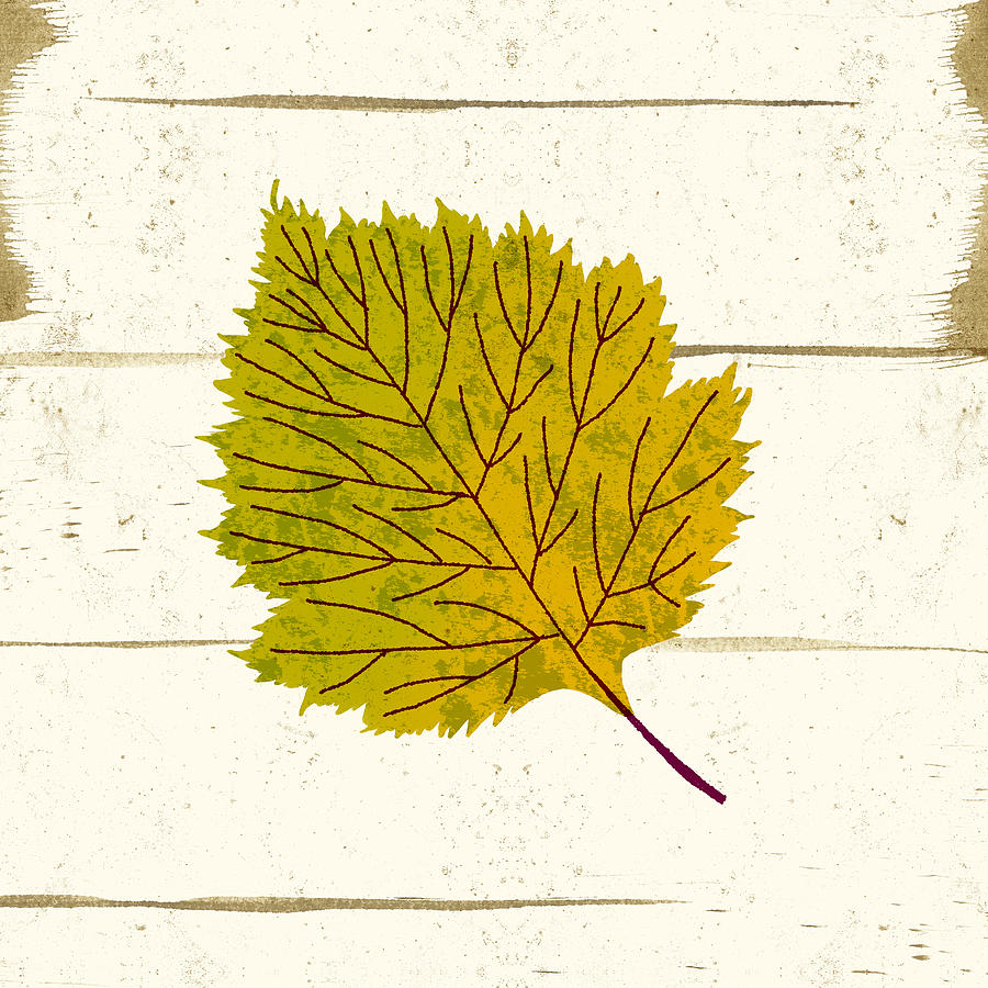 Fall Painting - Bold Fall Hawthorne Leaf - Art by Jen Montgomery by Jen Montgomery