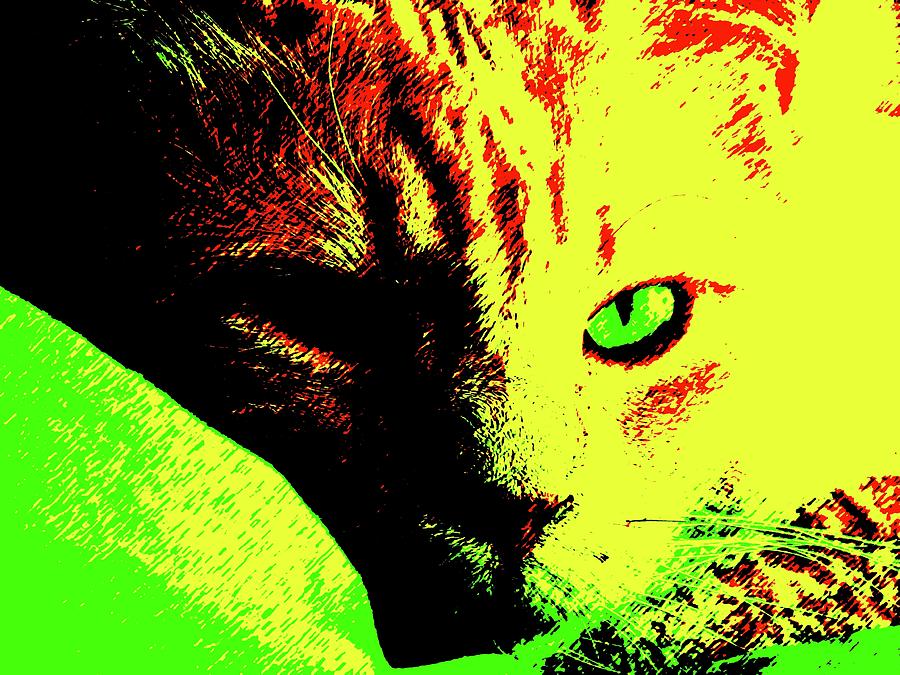 Bold Green-Eyed Cat Photograph by Judy Kennedy
