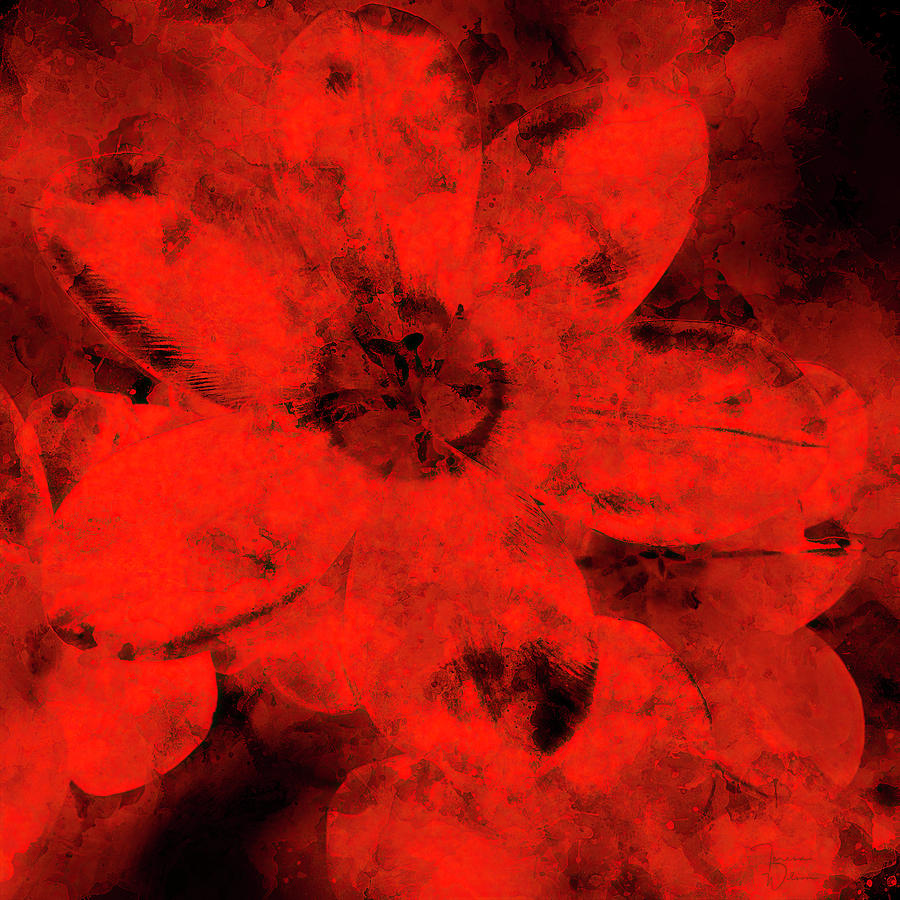 Bold Red Tulip Abstract Digital Art by Teresa Wilson