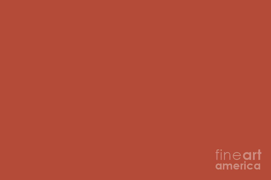 Bold Reddish Orange Solid Color Pairs Sherwin Williams Hearty Orange SW 6622 Digital Art by PIPA Fine Art - Simply Solid