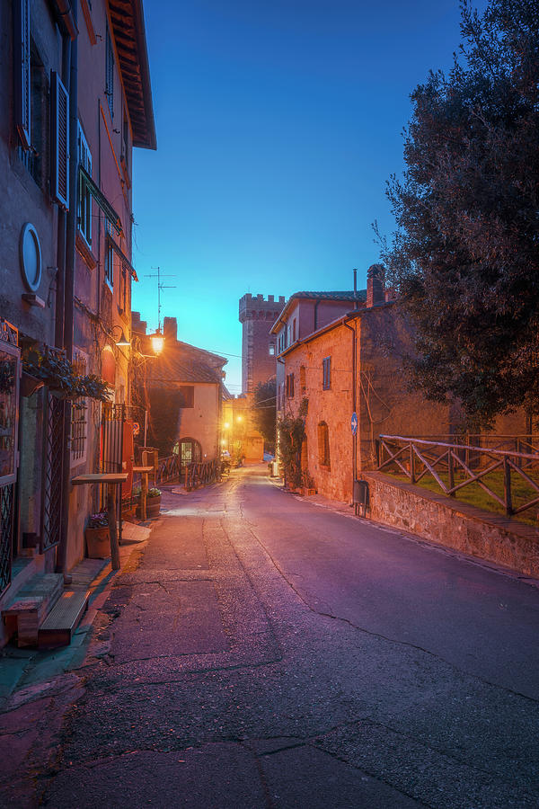 Blue Hour over Bolgheri Street Photograph by Stefano Orazzini
