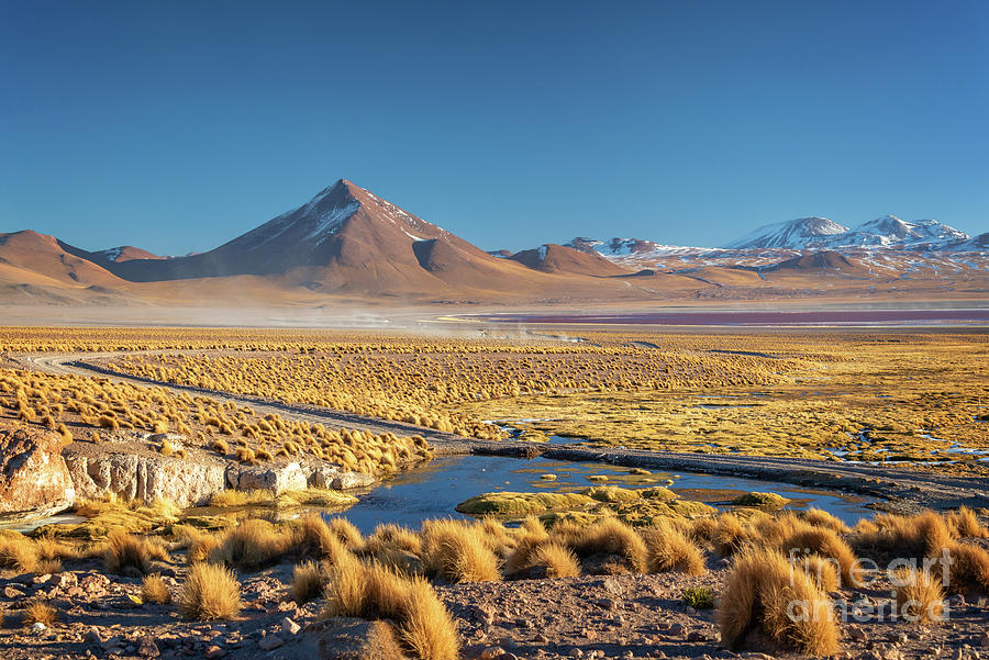 Bolivian altiplano landscape, Bolivia Photograph by Delphimages Photo Creations