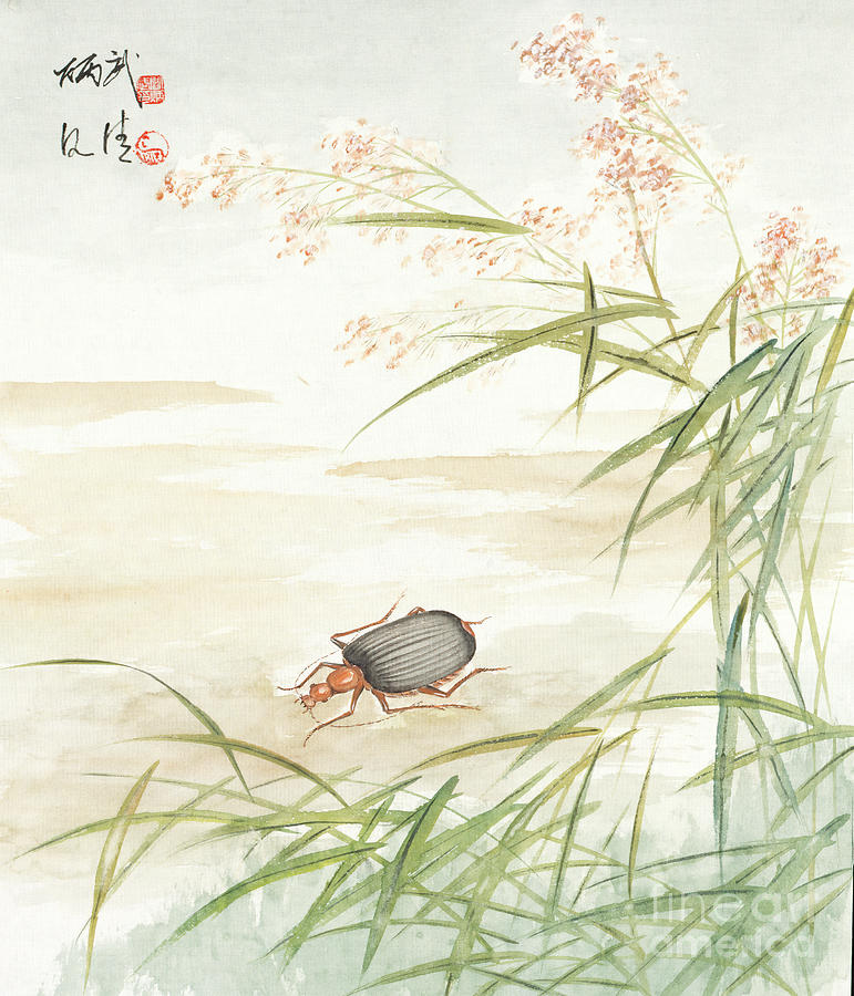 Bombardier Beetle Painting by Yan Bingwu and Yang Wenqing