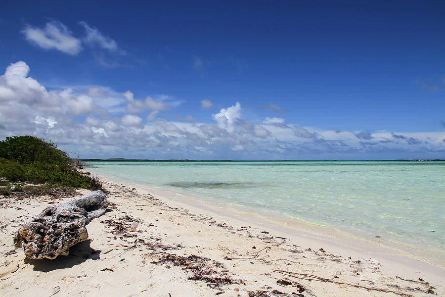 Bonaire beach Photograph by Fernando Dulce | Pixels