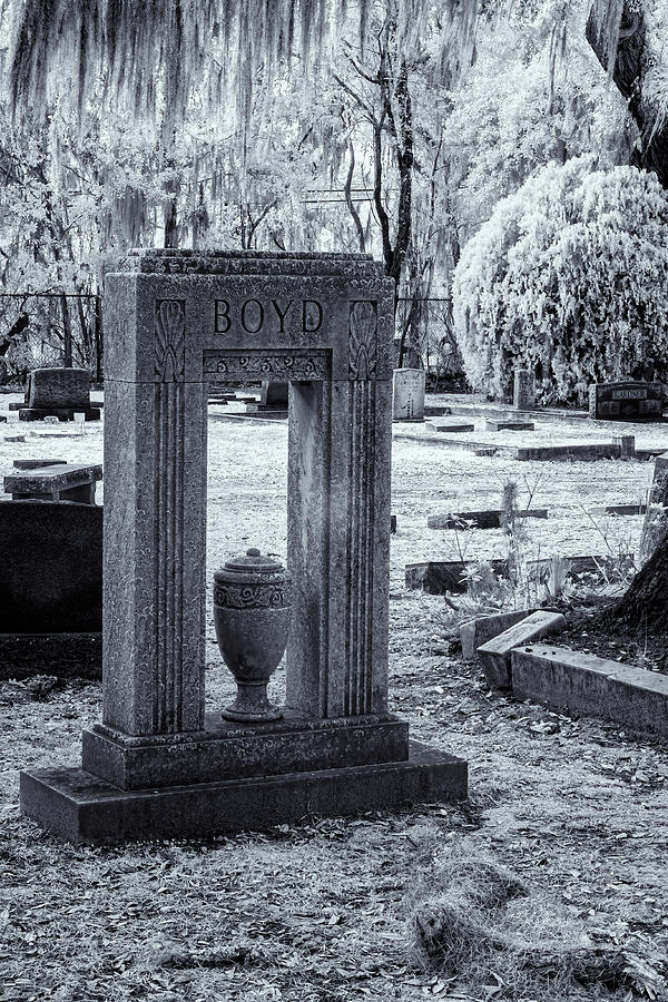 Bonaventure Cemetery II Photograph by Tom Singleton