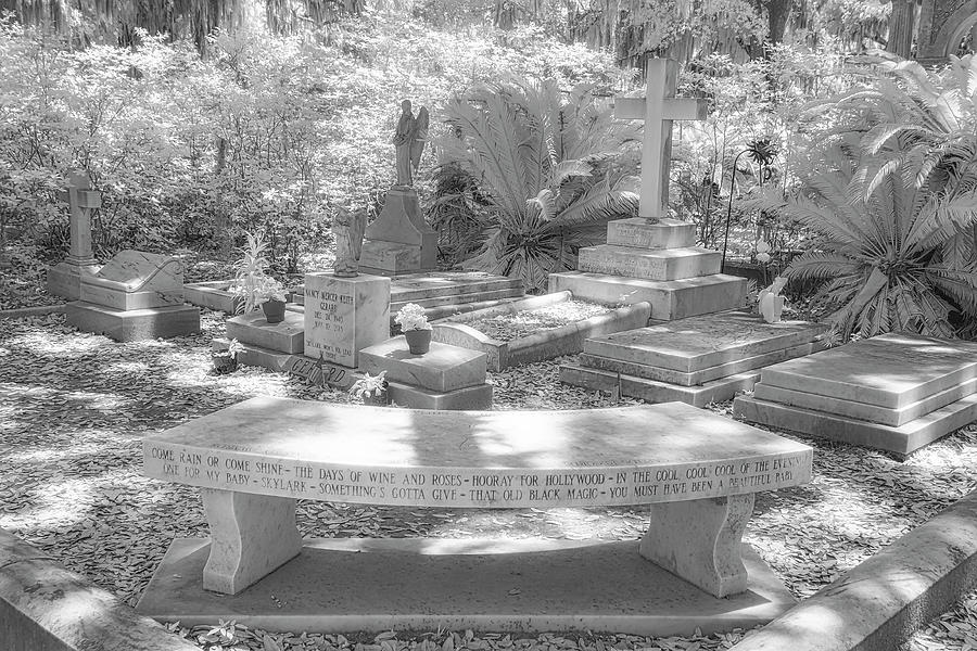 Bonaventure Cemetery Photograph by Susan Candelario