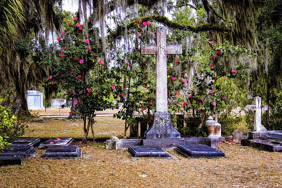 Bonaventure Cemetery Photograph by Tom Singleton