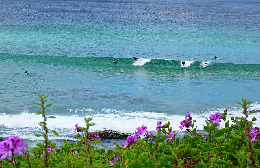Bondi Beach Surfers Photograph by Waterdancer