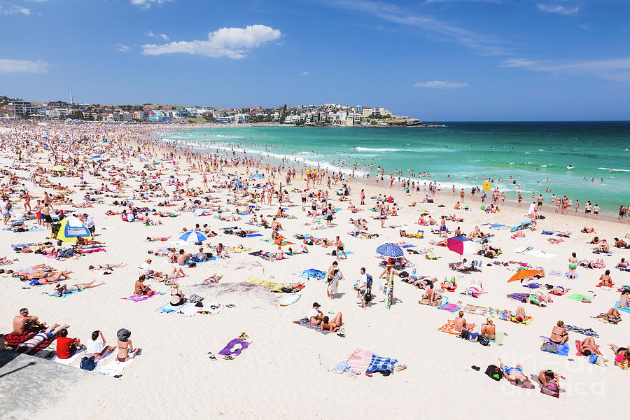 Bondi beach, Sydney Photograph by Matteo Colombo