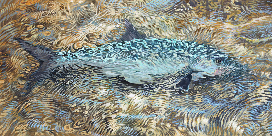 Bonefish Painting - Bone Fish in shallows by Guy Crittenden