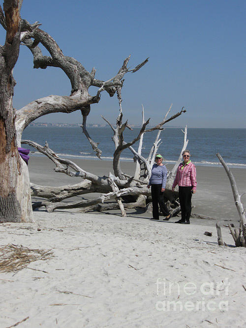 Jekyll Island Beach and Bones Forest with Art Buddies from Road Scholar Painting Trip Photograph by Catherine Ludwig Donleycott