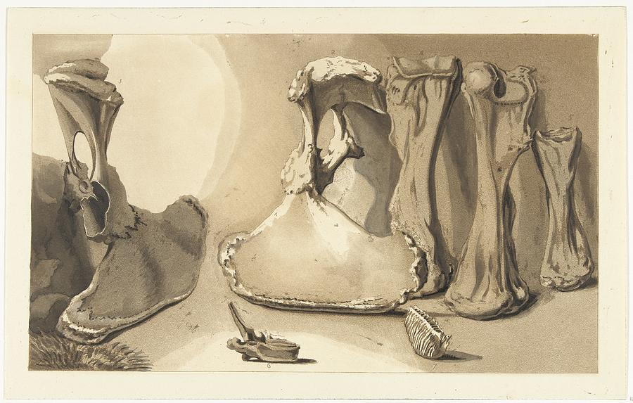 Bones washed ashore, Anthonie van den Bos, after Hendrik Hoogers, 1809 Painting by MotionAge Designs