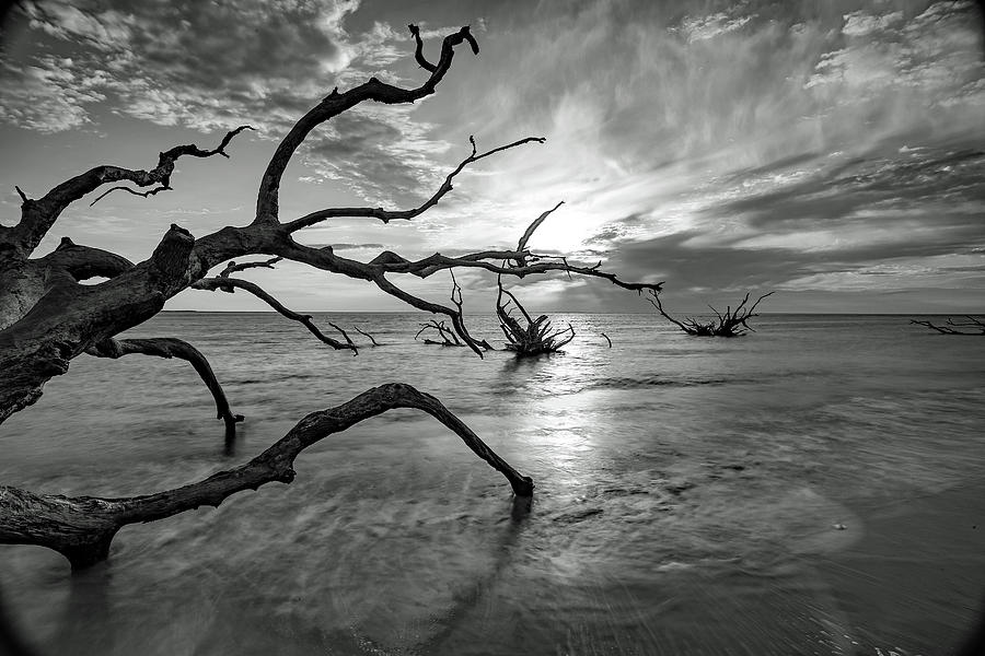 Boneyard Beach at Big Talbot Island 1 Photograph by James Frazier ...