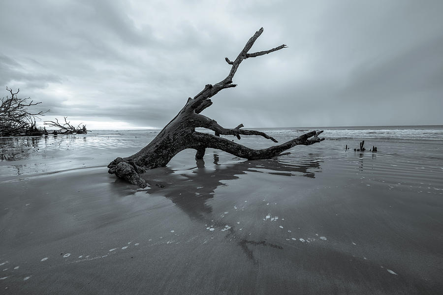 Boneyard Beach at Botany Bay, Black and White Photograph by Marcy Wielfaert