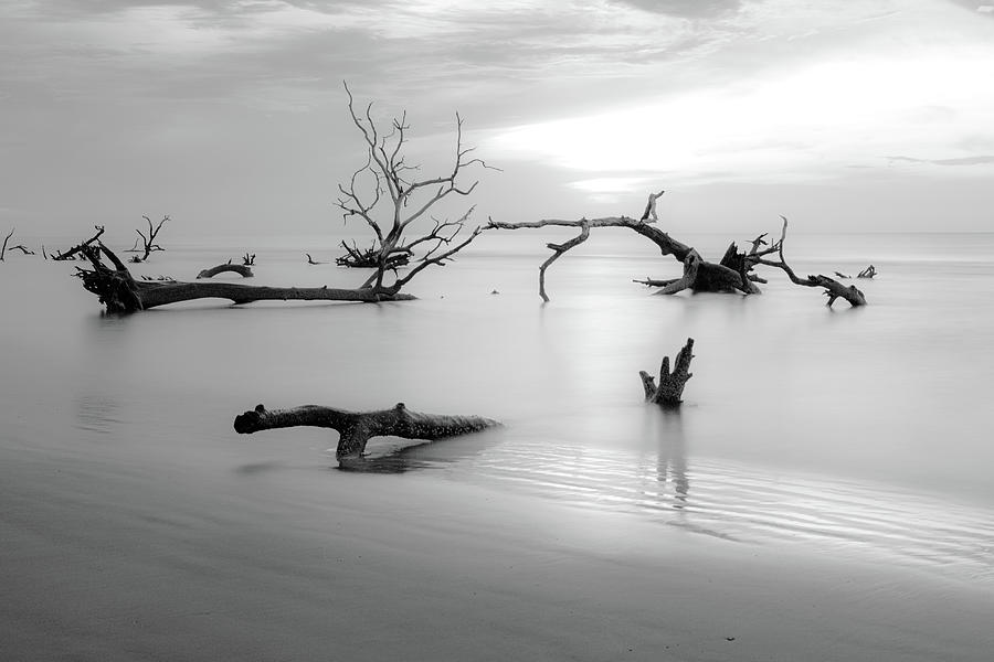 Boneyard Beach in Black and White Photograph by Brian Bishop
