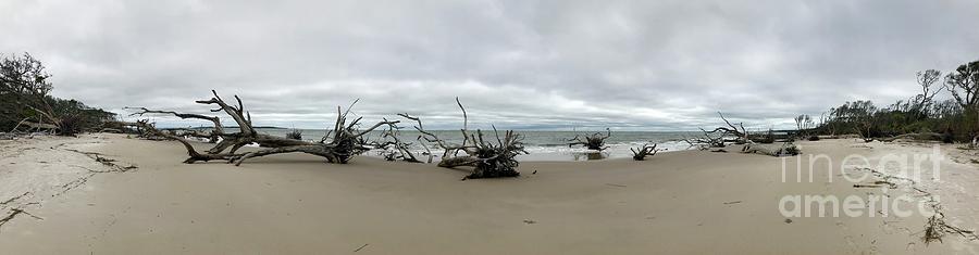 Boneyard Beach Panorama Photograph by Carol Groenen