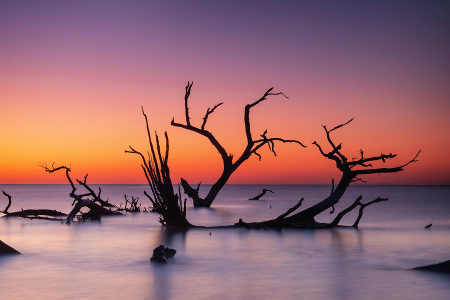 Boneyard Beach Sunrise Photograph by Fran Gallogly