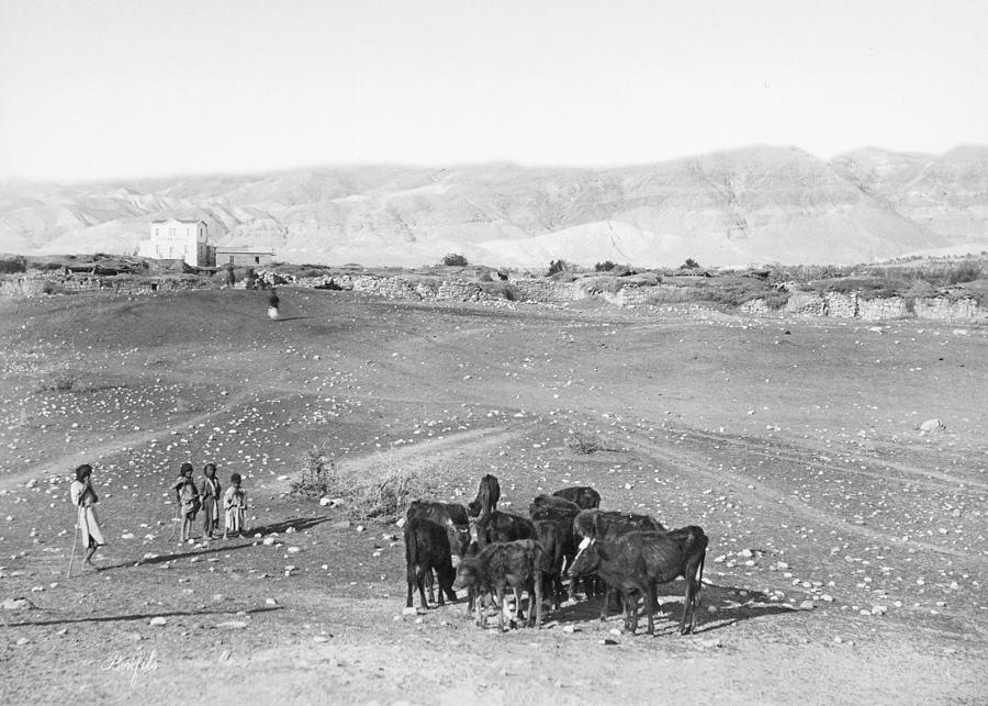 Bonfils Jericho in 1870s Photograph by Munir Alawi
