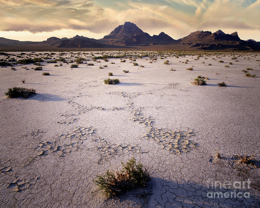 Bonneville Salt Flats Photograph by Edmund Nagele FRPS