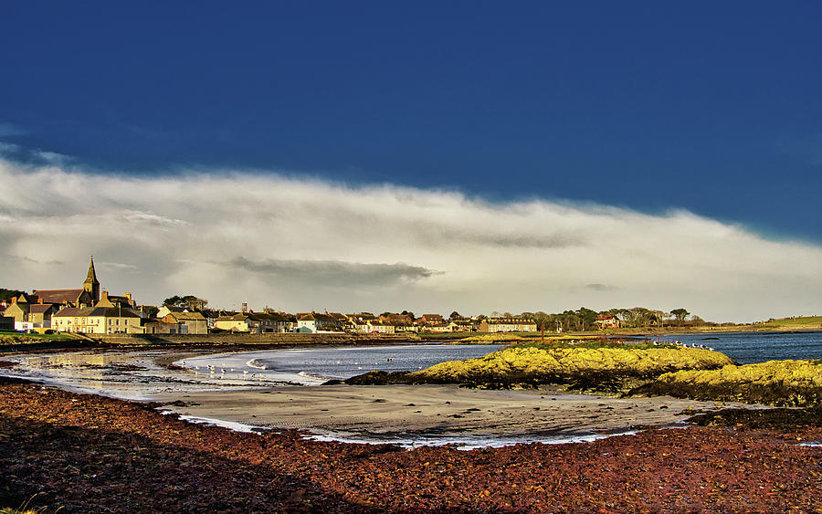 Bonnie Ballywalter Photograph by Martyn Boyd - Fine Art America