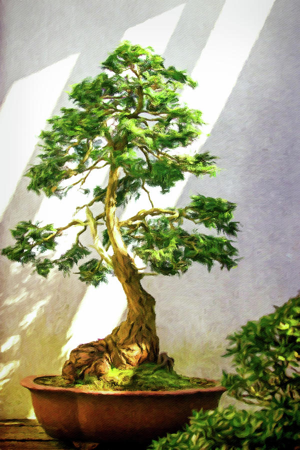Bonsai in the Garden Painting by Susan Maxwell Schmidt