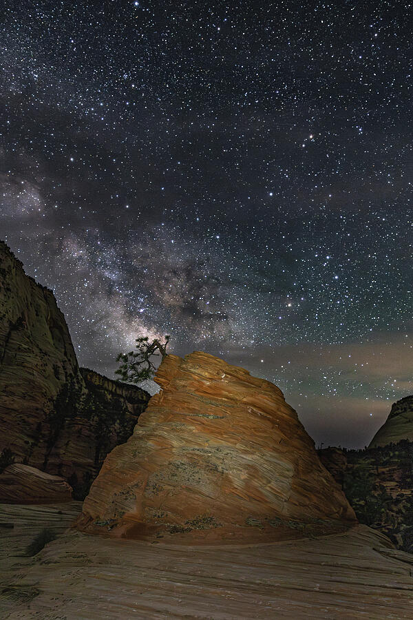 Landscape Photograph - Bonsai Milky Way by James Marvin Phelps