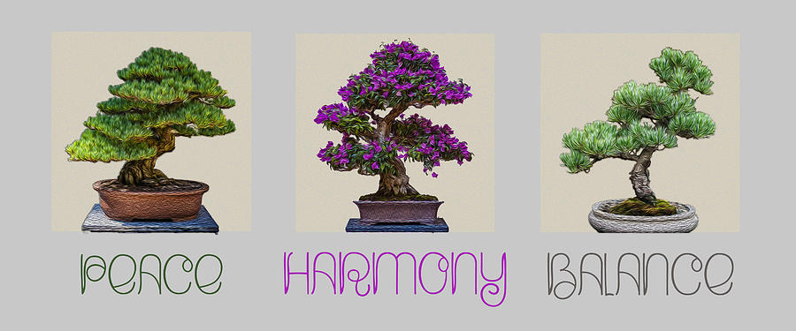 Bonsai - Peace Harmony Balance - Triptych Photograph