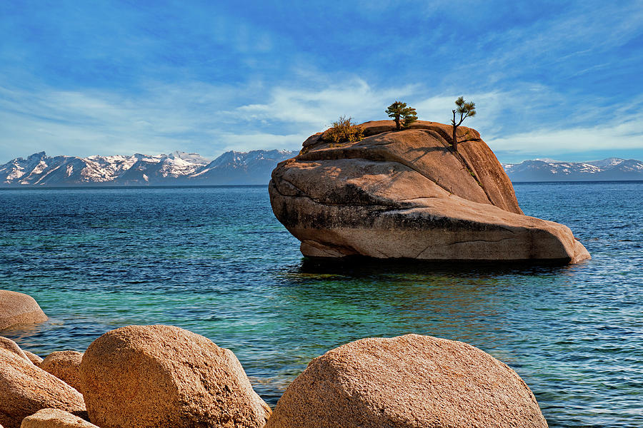 Bonsai Rock At Lake Tahoe Photograph by Jim Vallee