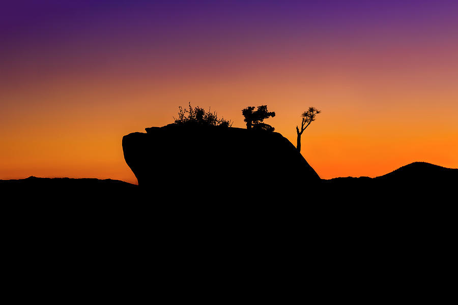 Bonsai Rock Silhouette Photograph by Gary Geddes
