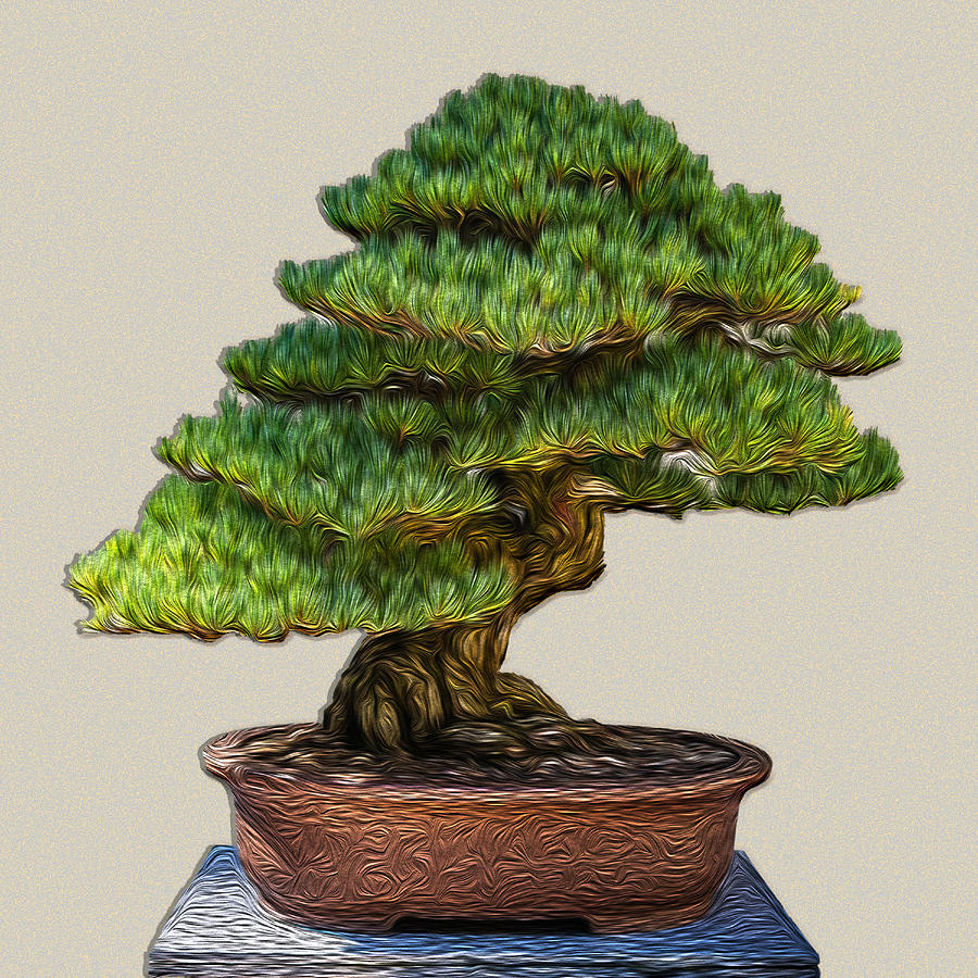 Bonsai Tree - 3 Of 3 Digital Art