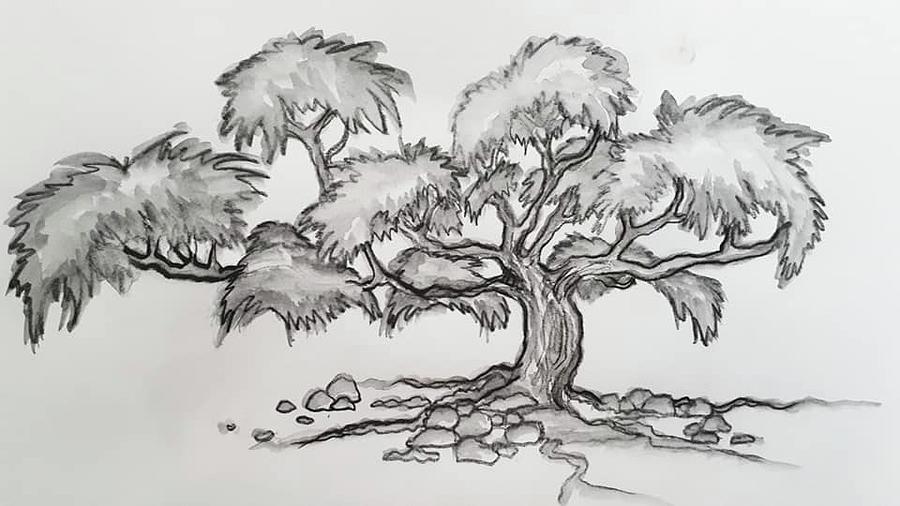 Bonsai Tree 4 Drawing by Kathleen Voort