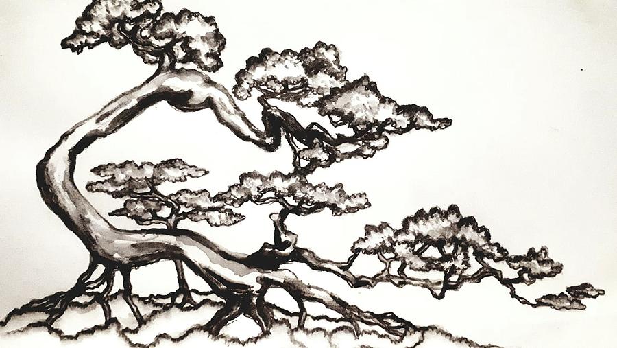 japanese bonsai trees drawing