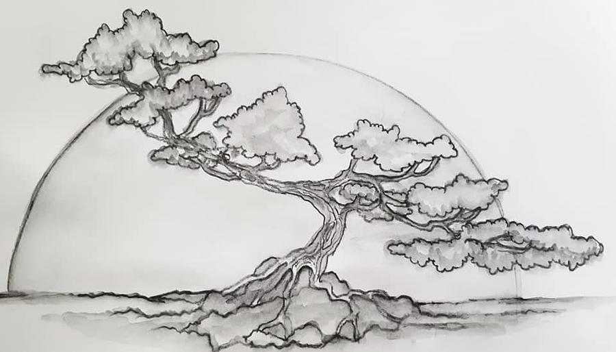 4,212 Bonsai Tree Drawing Images, Stock Photos & Vectors | Shutterstock