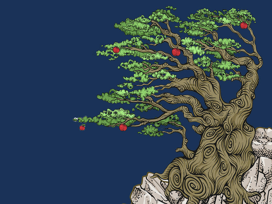 Bonsai Tree In Japanese Zen Buddhist Enso Circle Blue Zen Yoga Painting by Tony Rubino