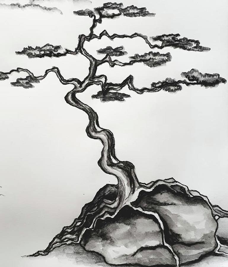 bonsai tree on rock kathleen voort