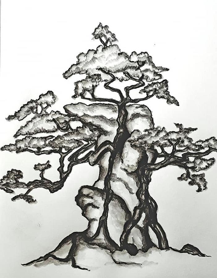 Art of Full Sail — This texture drawing of a bonsai tree emerging out...