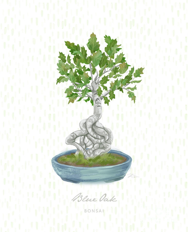 Bonsai Trees - Blue Oak  Mixed Media by Shari Warren