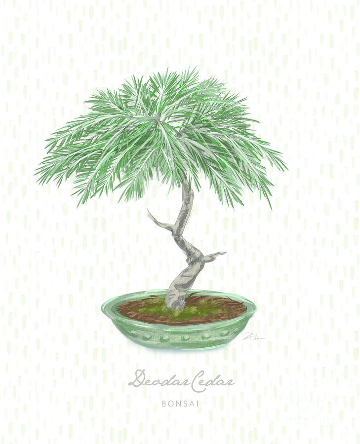 Bonsai Trees - Deodar Cedar  Mixed Media by Shari Warren