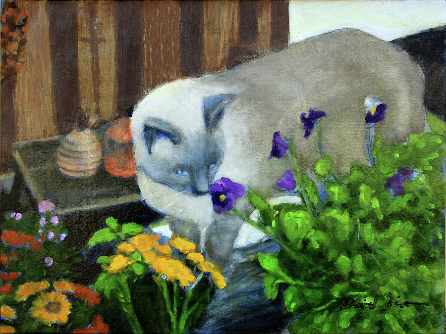 Blue Point Siamese Cat Painting - Boo Boo by David Zimmerman