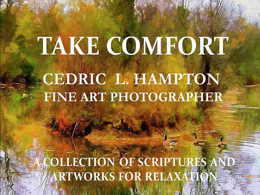 Book Cover For Take Comfort Photograph by Cedric Hampton